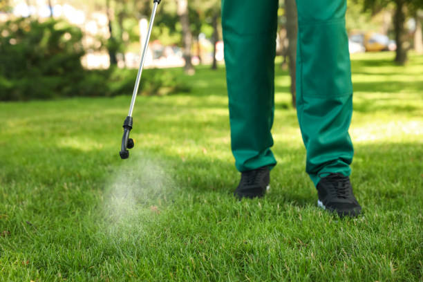 Professional Pest Control in Random Lake, WI