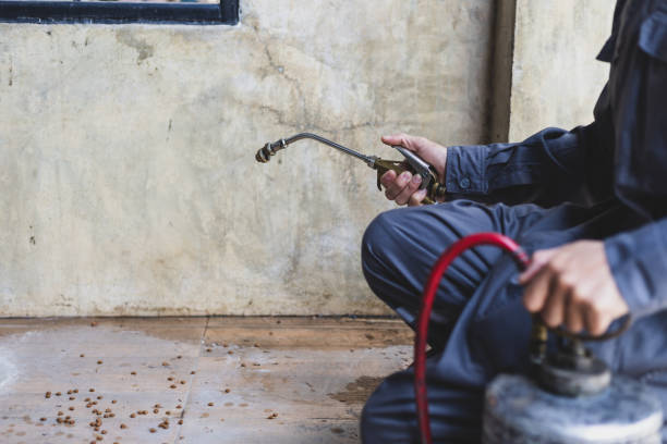 Best Residential Pest Control  in Random Lake, WI